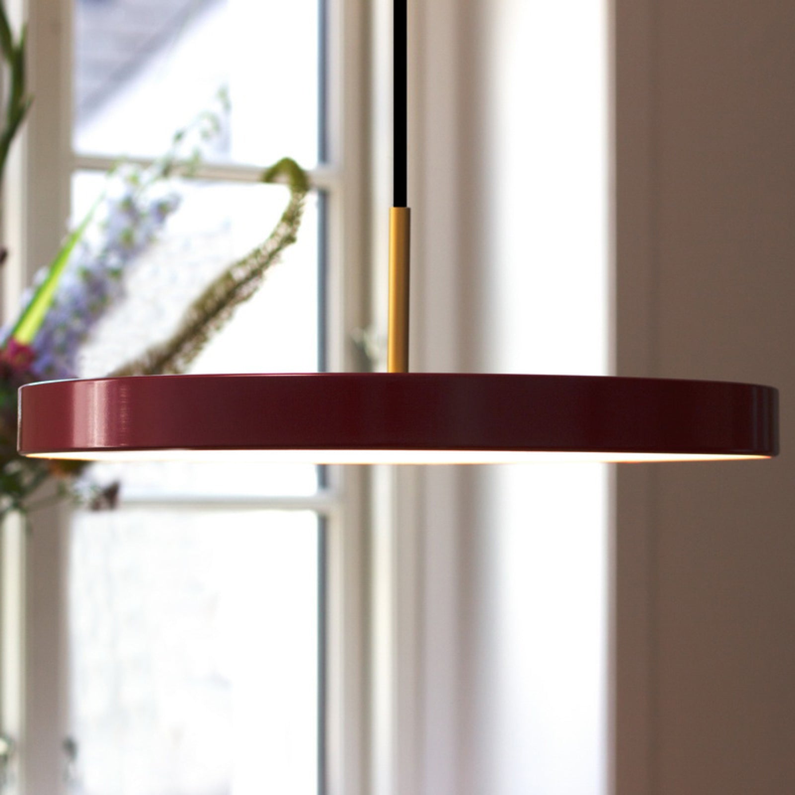 LED pendellampe Asteria Mini rubinrød/messing Ø31 cm dimbar - UMAGE
