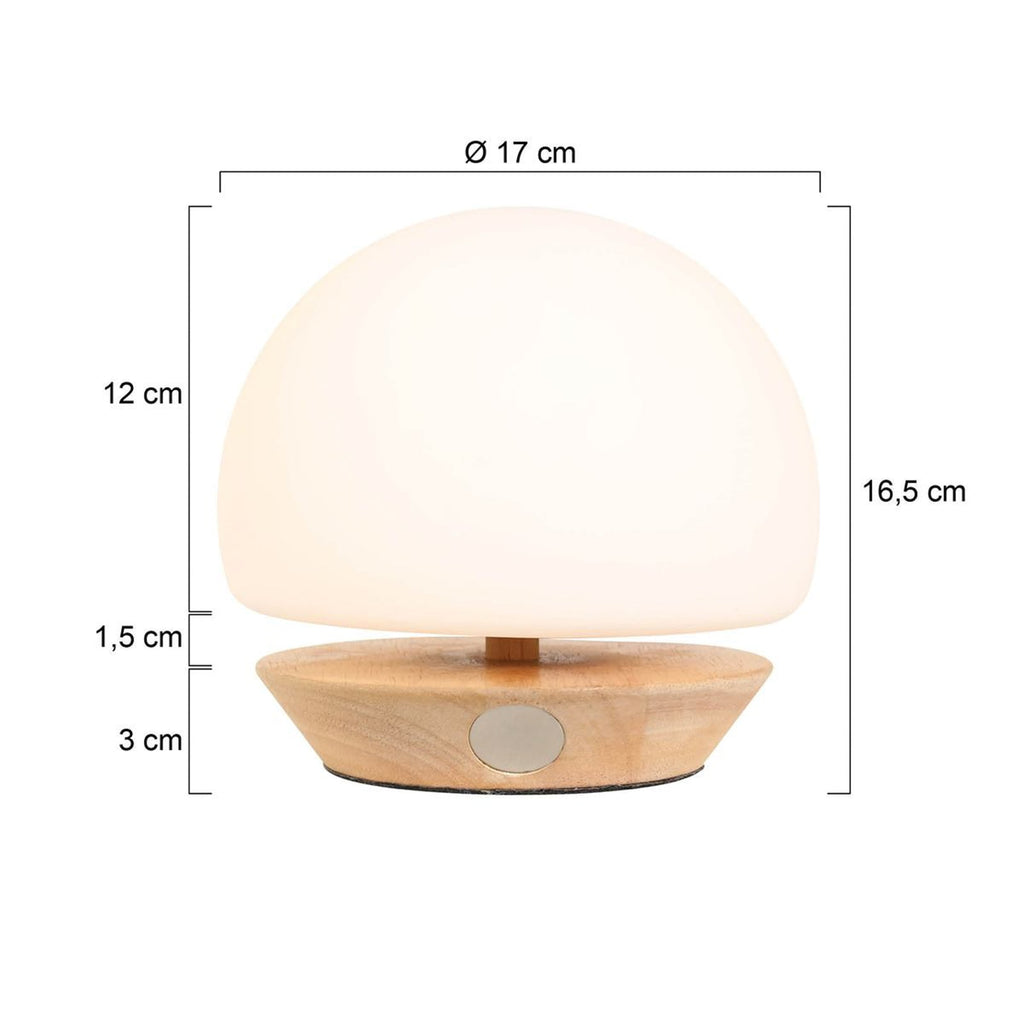 Bordlampe Ancilla tre og opalglass dimbar G9 Ø17 cm bakside