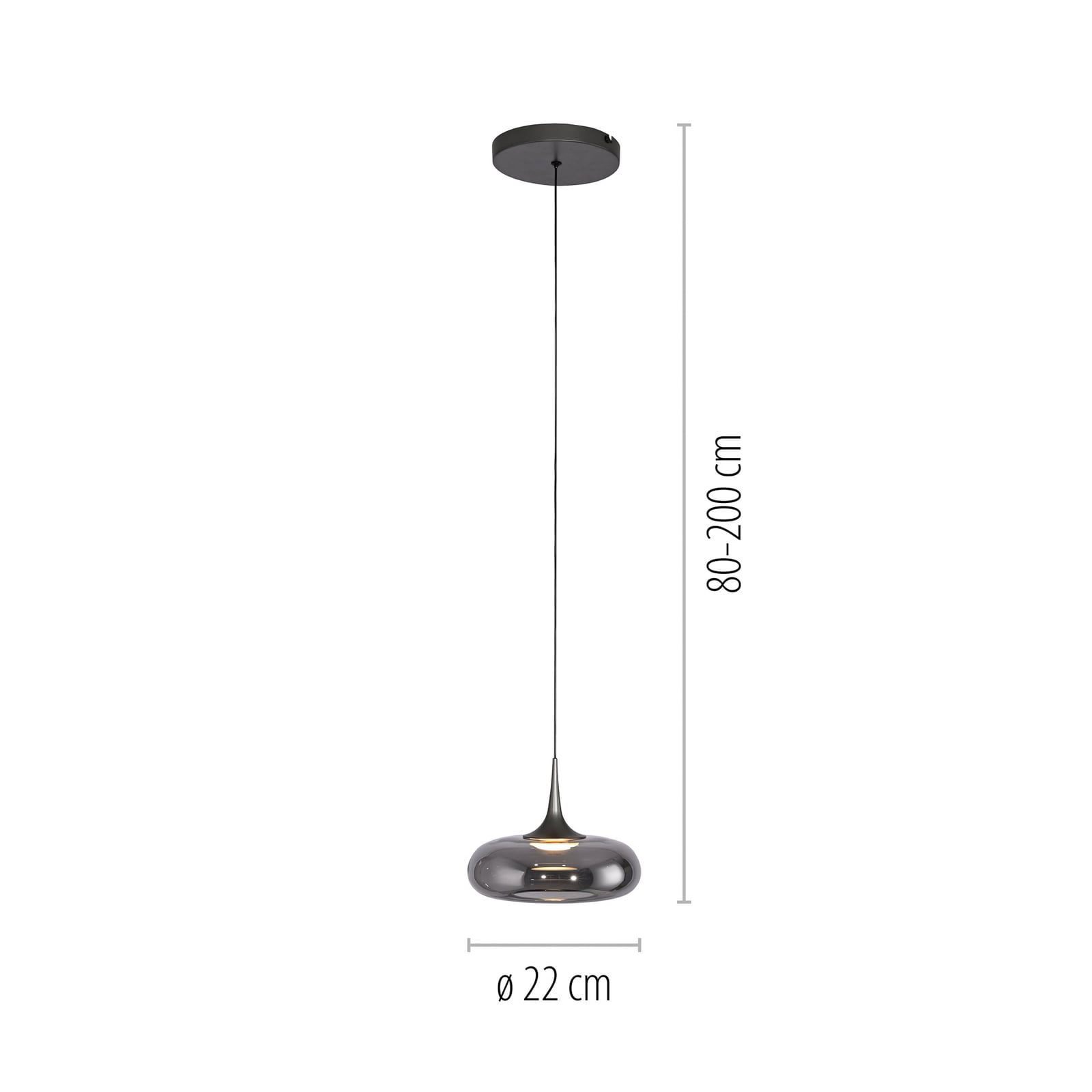 Detalj av LED pendellampe Posh røykglass dimbar