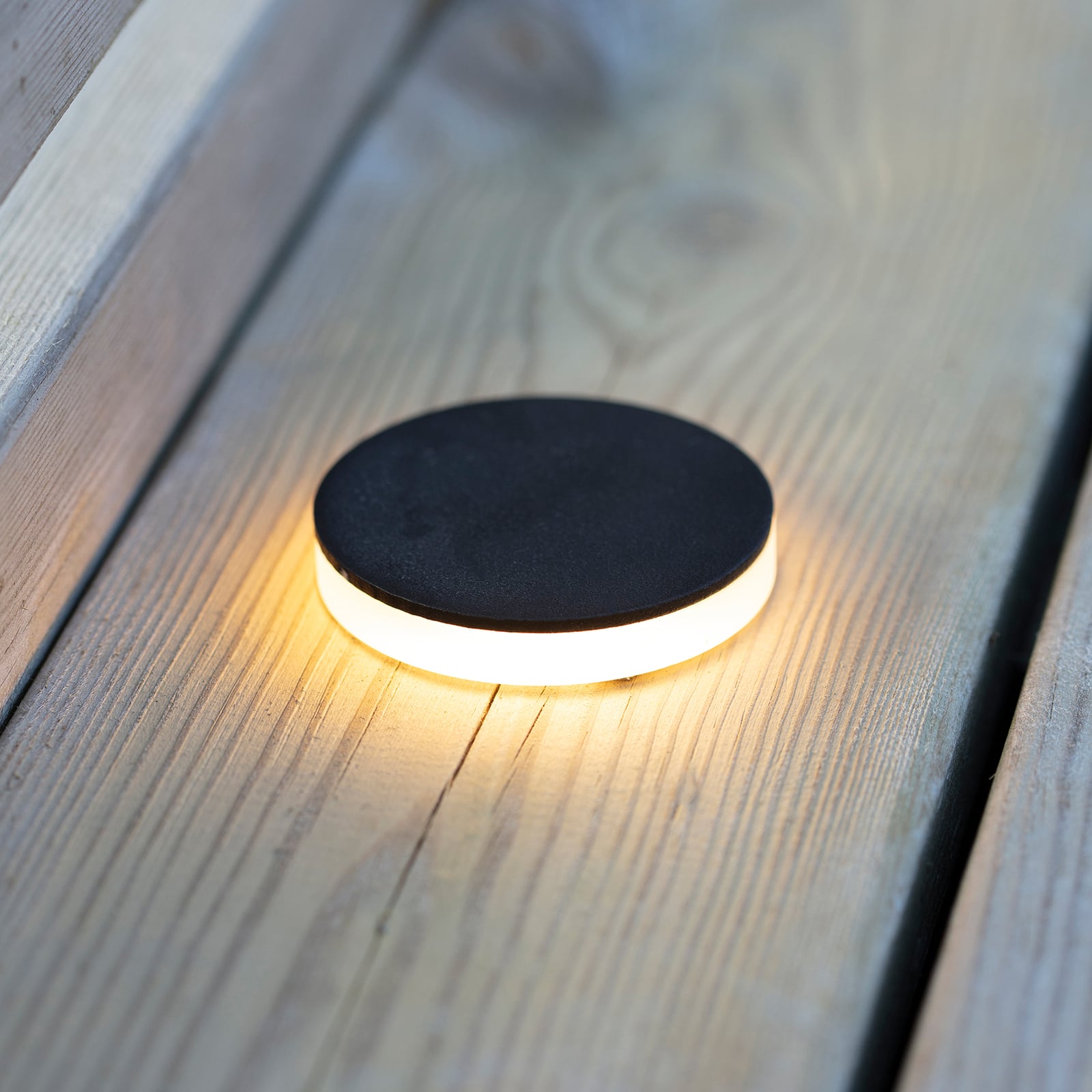 Garden 24 bakkespot LED sidelys svart 3W Ø6 cm IP44 bakside