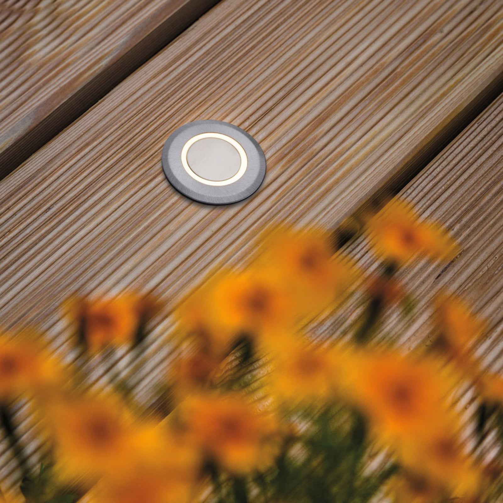 LED bakkespot House rund børstet stål Ø5 cm bakside