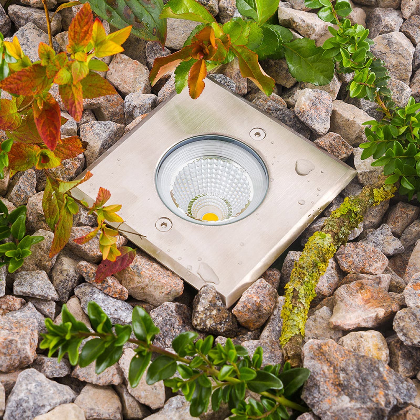 LED bakkespot Meerkat kvadratisk 12x12 cm bakside