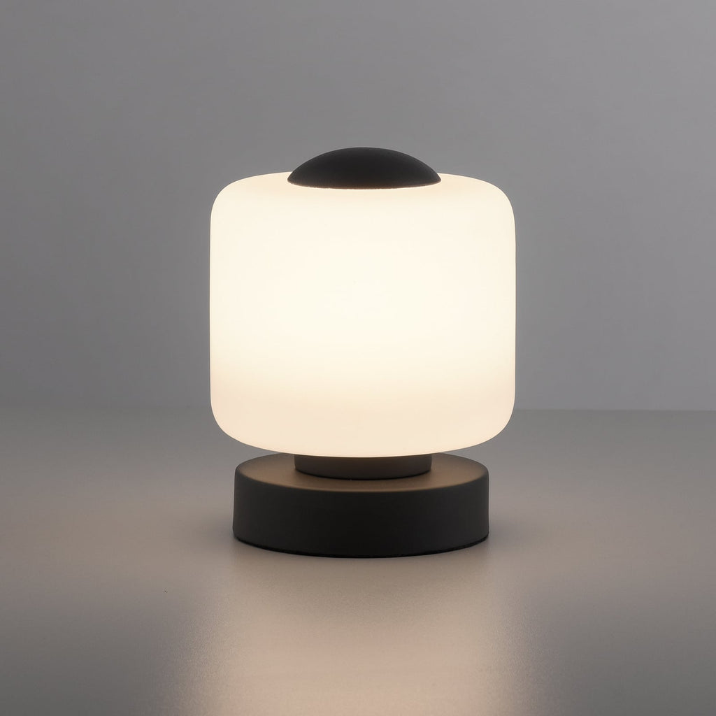 LED bordlampe Bota glass antrasitt dimbar 7W varmhvit nærbilde av touchdimmer