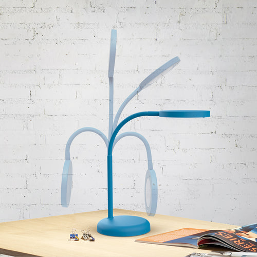 LED bordlampe MAULjoy blå metall bakside