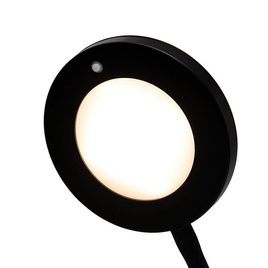 LED bordlampe MAULjoy svart metall detalj av fot