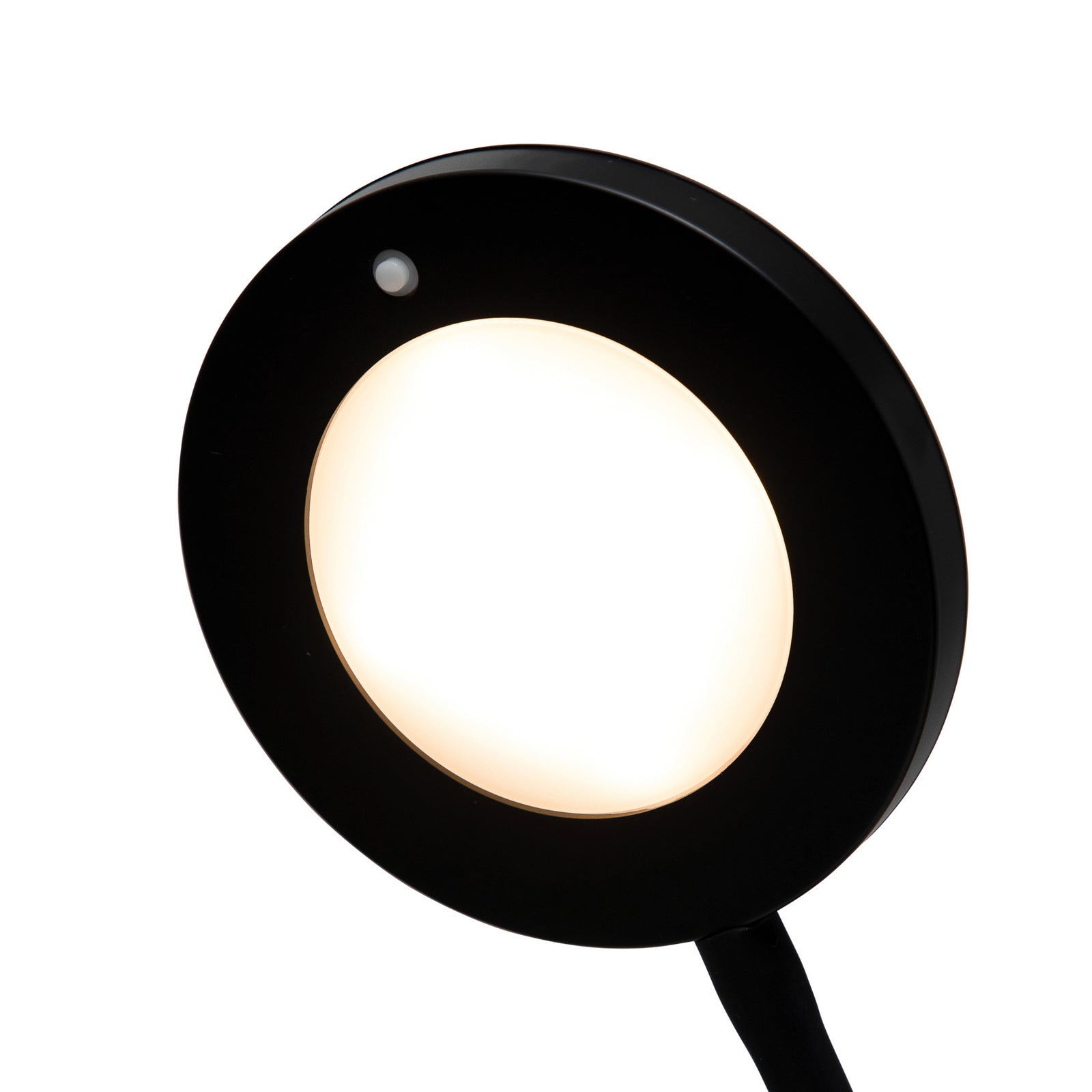 LED bordlampe MAULjoy svart metall detalj av fot