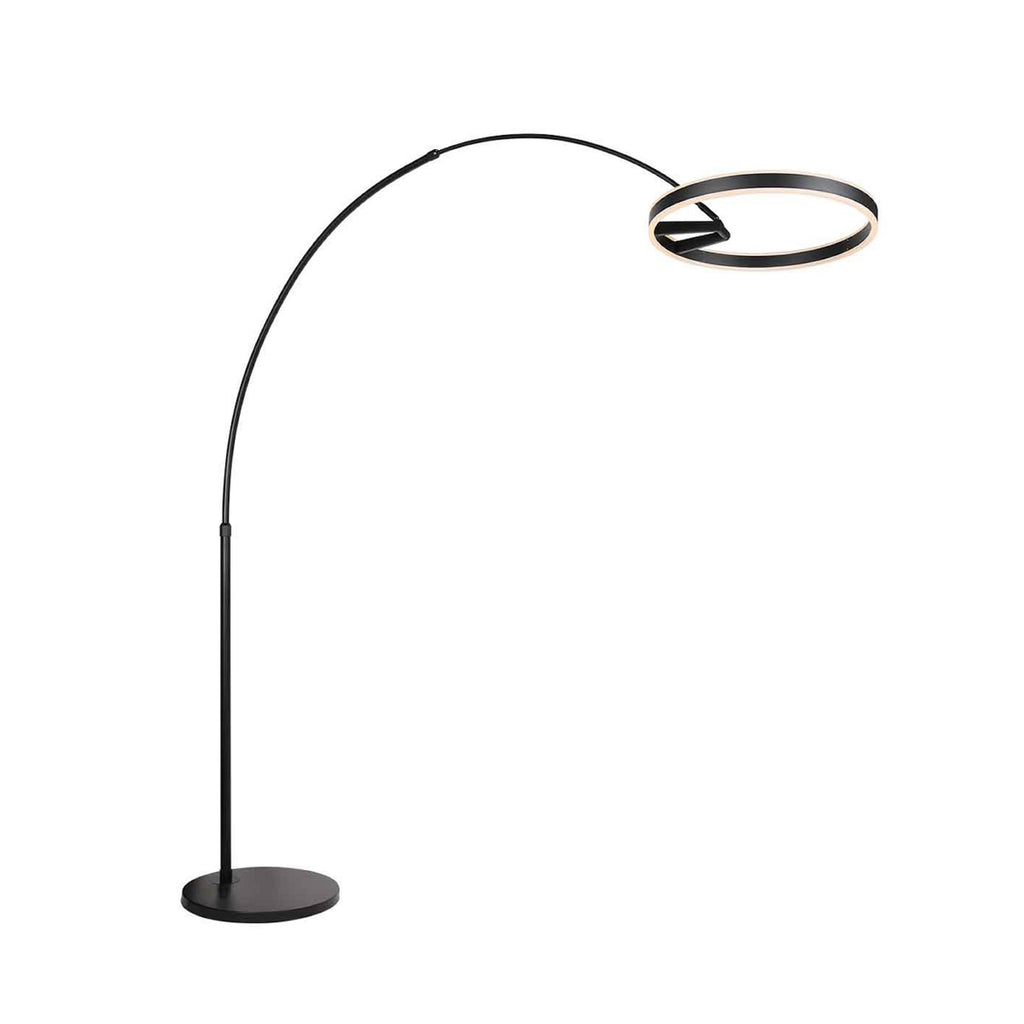 LED buegulvlampe Ringlux svart metall montert i stue