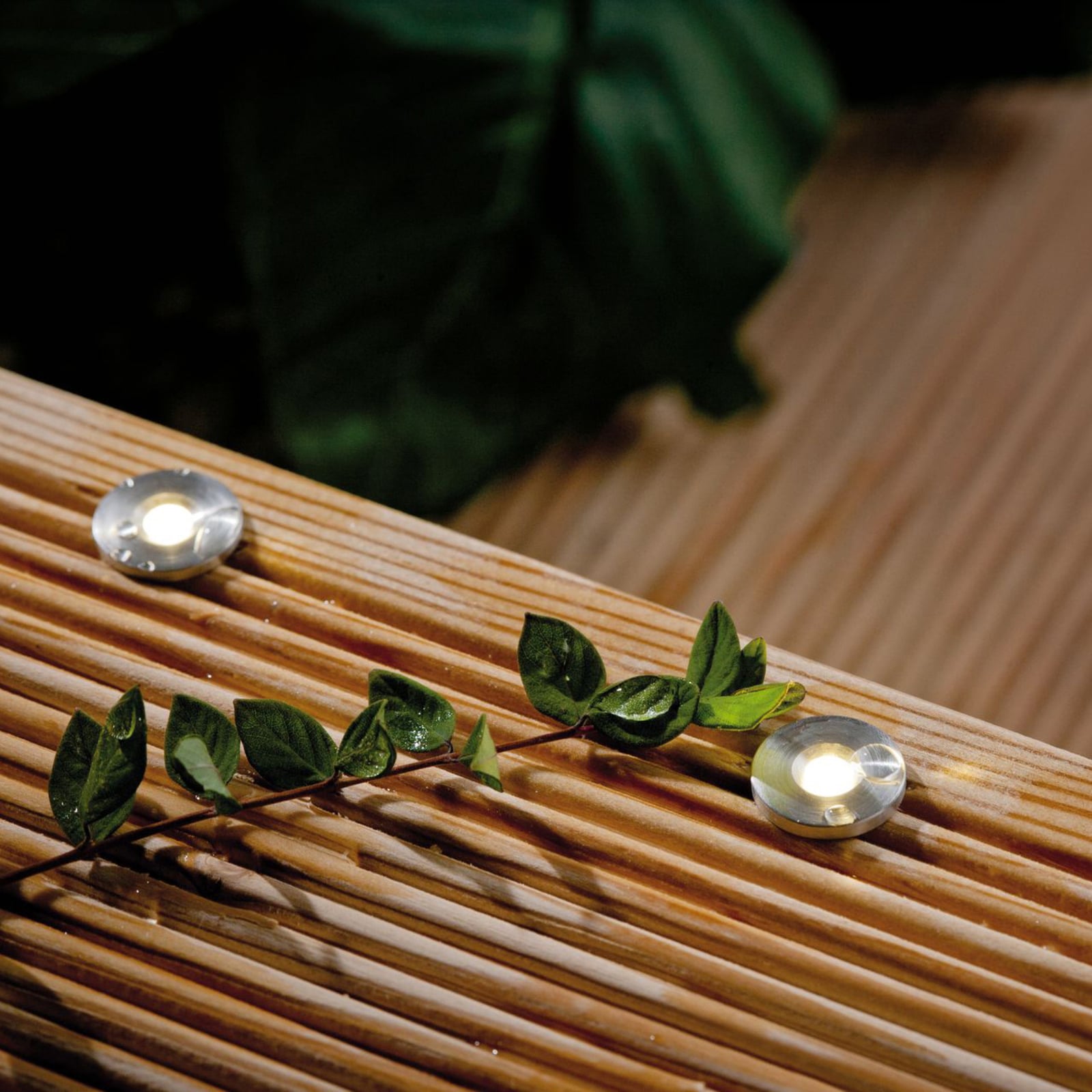 LED dekor-bakkespot Plug & Shine basissett 5-pk IP65 Paulmann montert i hage