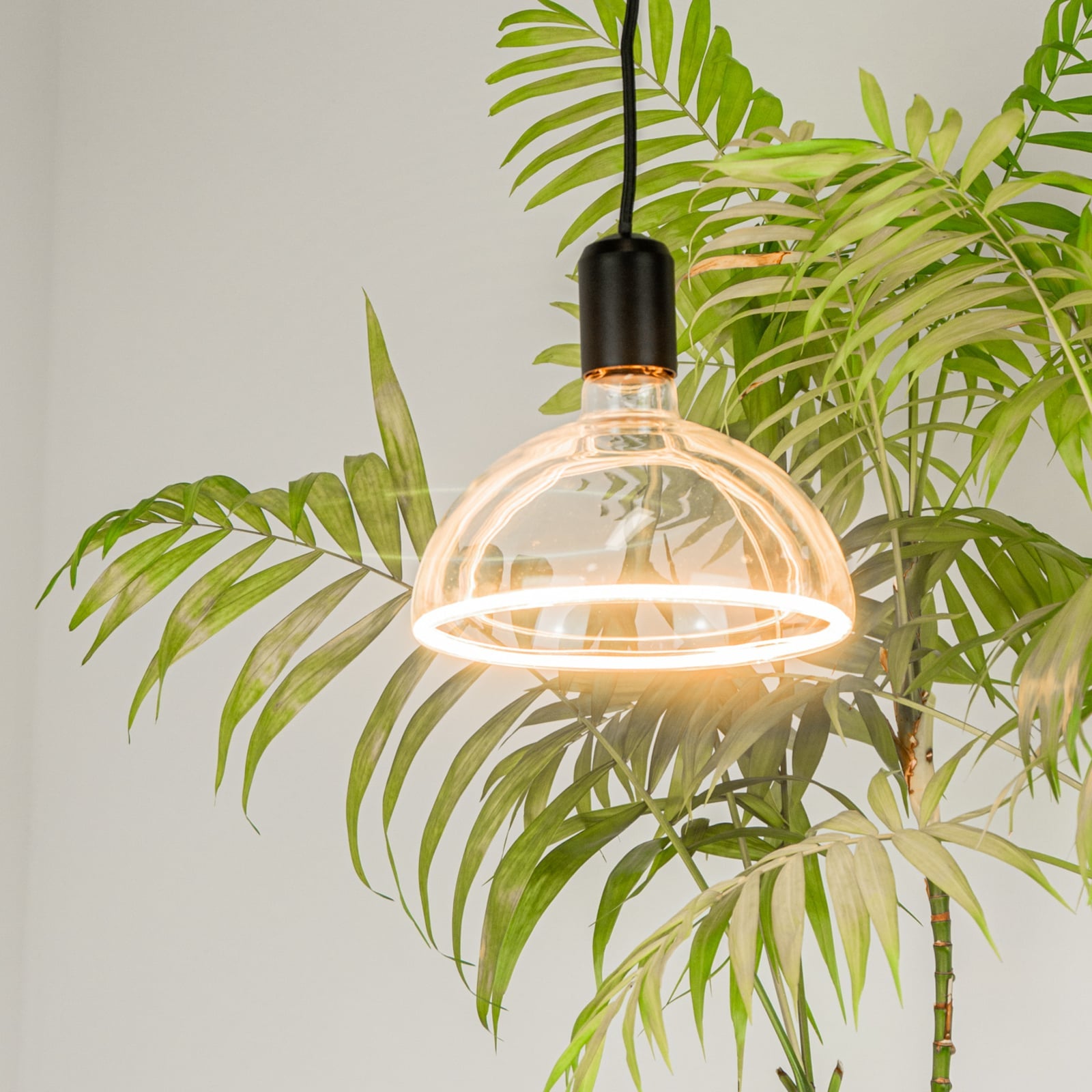 Montert LED filamentpære Bowl E27 6,2W dimbar klar i lampe