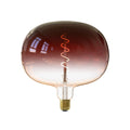 LED globepære E27 5W filament 1800K dimbar Ø22 cm - Calex forfra