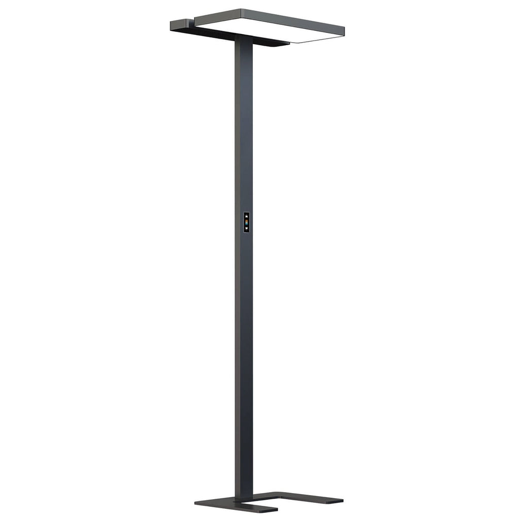 Detalj av LED-gulvlampe Aila dimbar CCT med bevegelsessensor svart