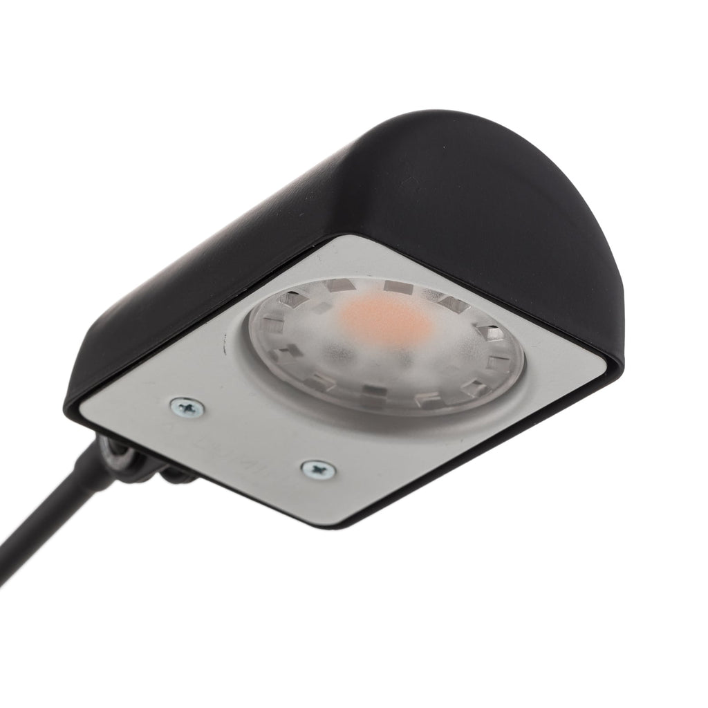 Nærbilde av LED gulvlampe Daphine dimbar svart stål ledd
