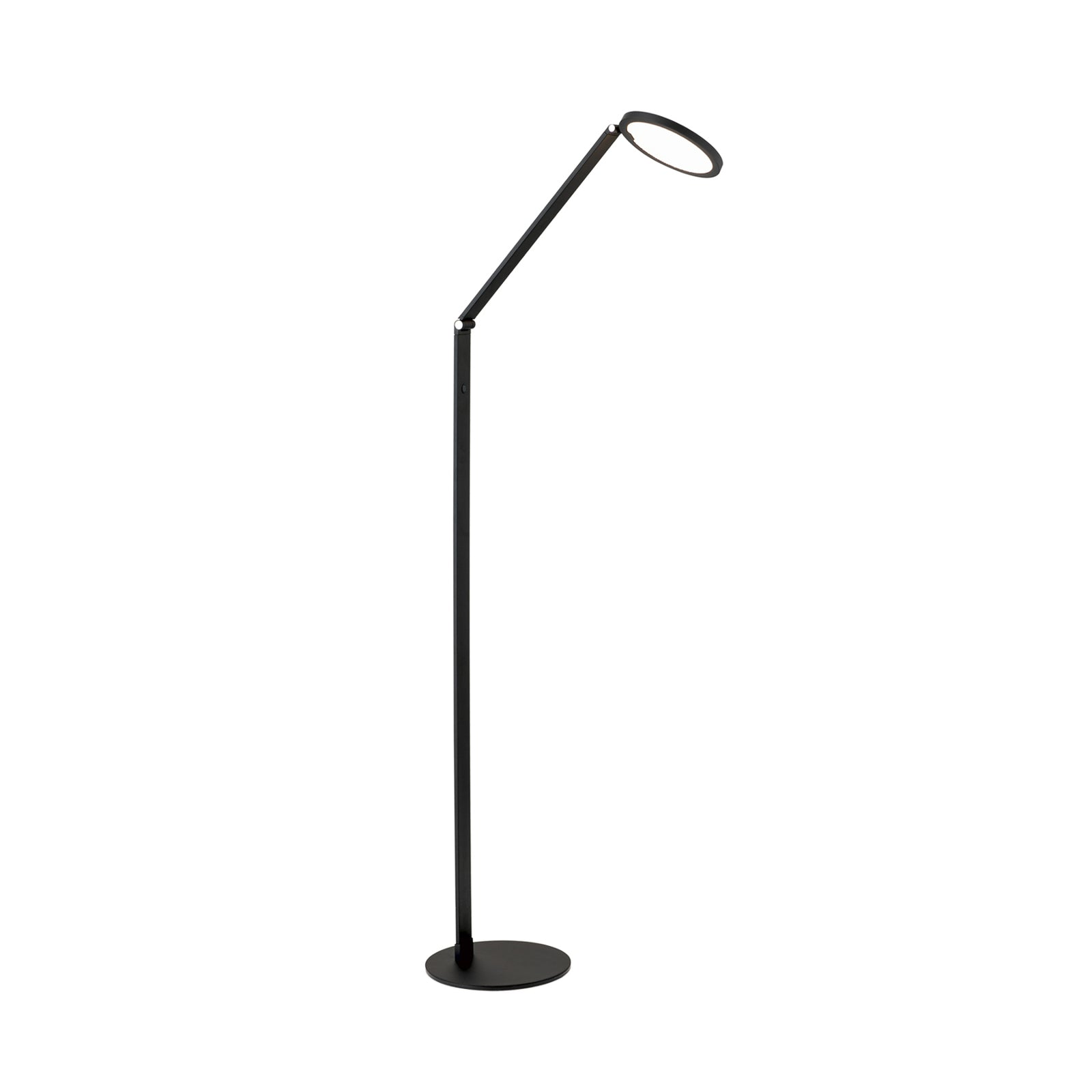 LED gulvlampe Fati med justerbart lampehode svart