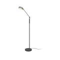 LED gulvlampe Franklin dimbar CCT antrasitt 153 cm forfra