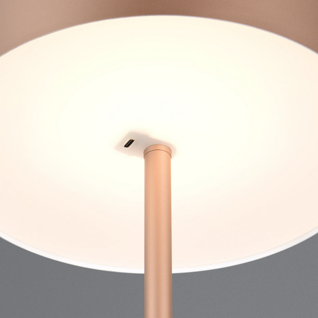 LED gulvlampe Jeff oppladbar dimbar brun H147 cm USB-kabel inkludert