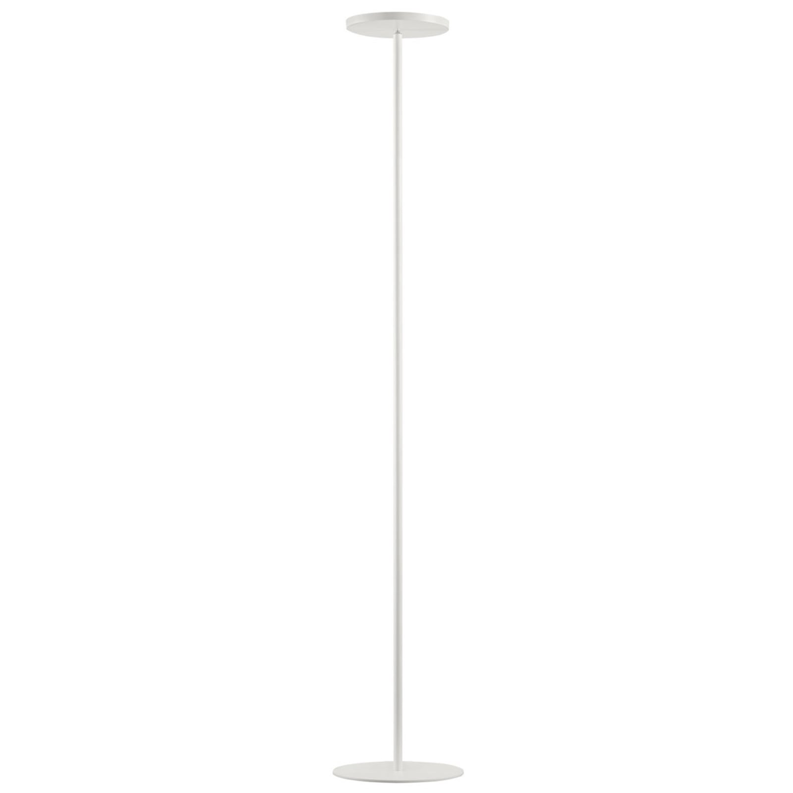 LED gulvlampe Joshua svingbar dimbar hvit 188 cm detalj av skjerm