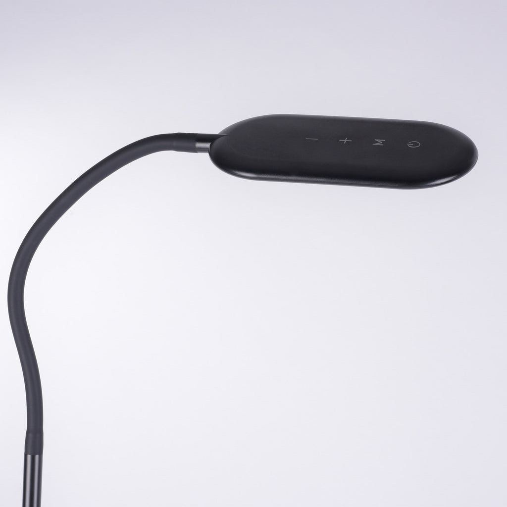LED gulvlampe Kelly CCT dimbar svart med berøringsdimmer montert i rom