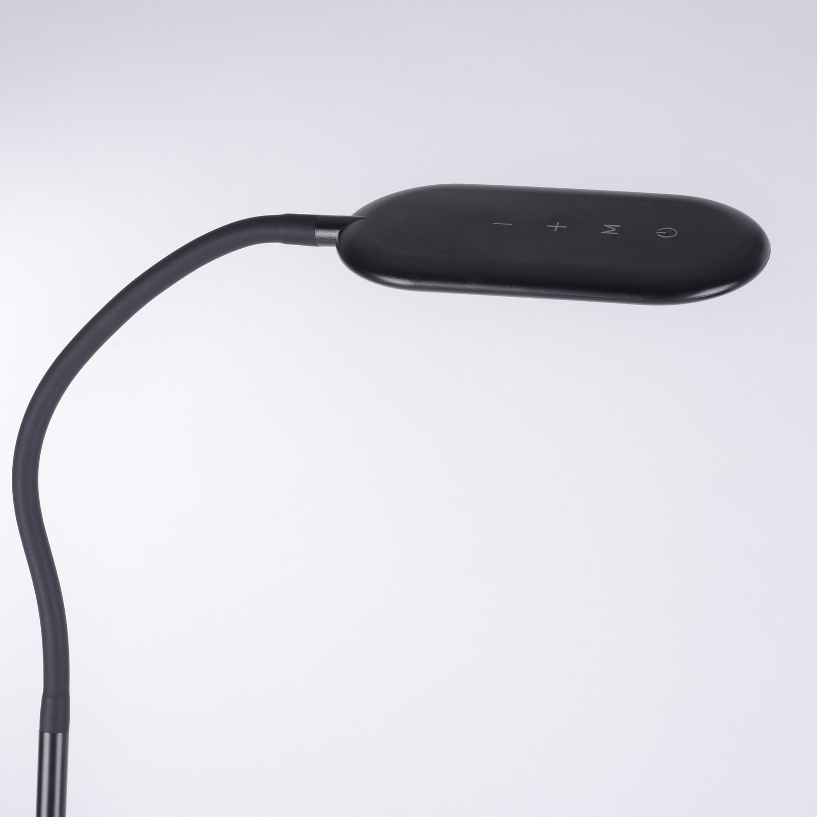 LED gulvlampe Kelly CCT dimbar svart med berøringsdimmer montert i rom