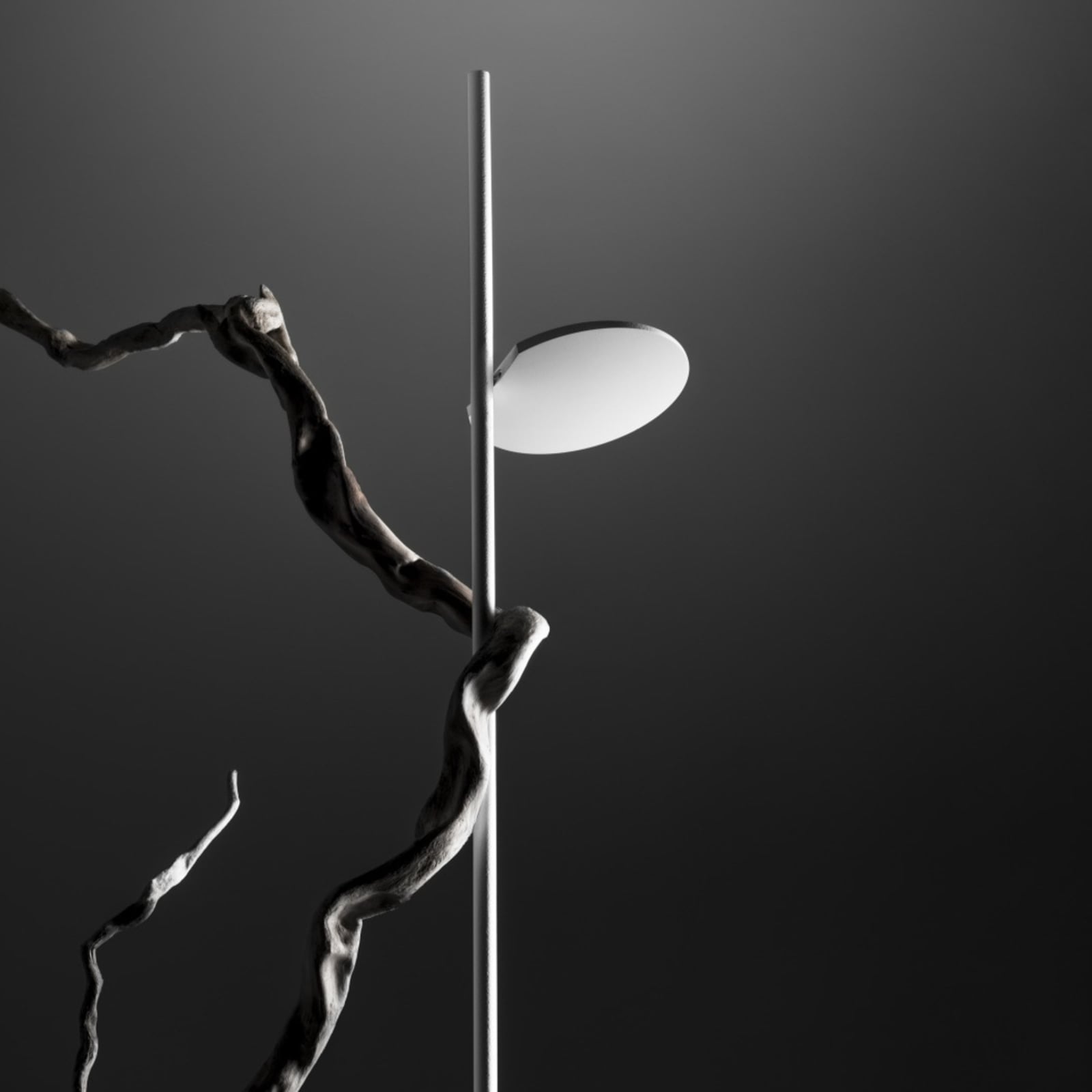 LED gulvlampe Kimia dimbar høydejusterbar svart 25W detalj av skjerm