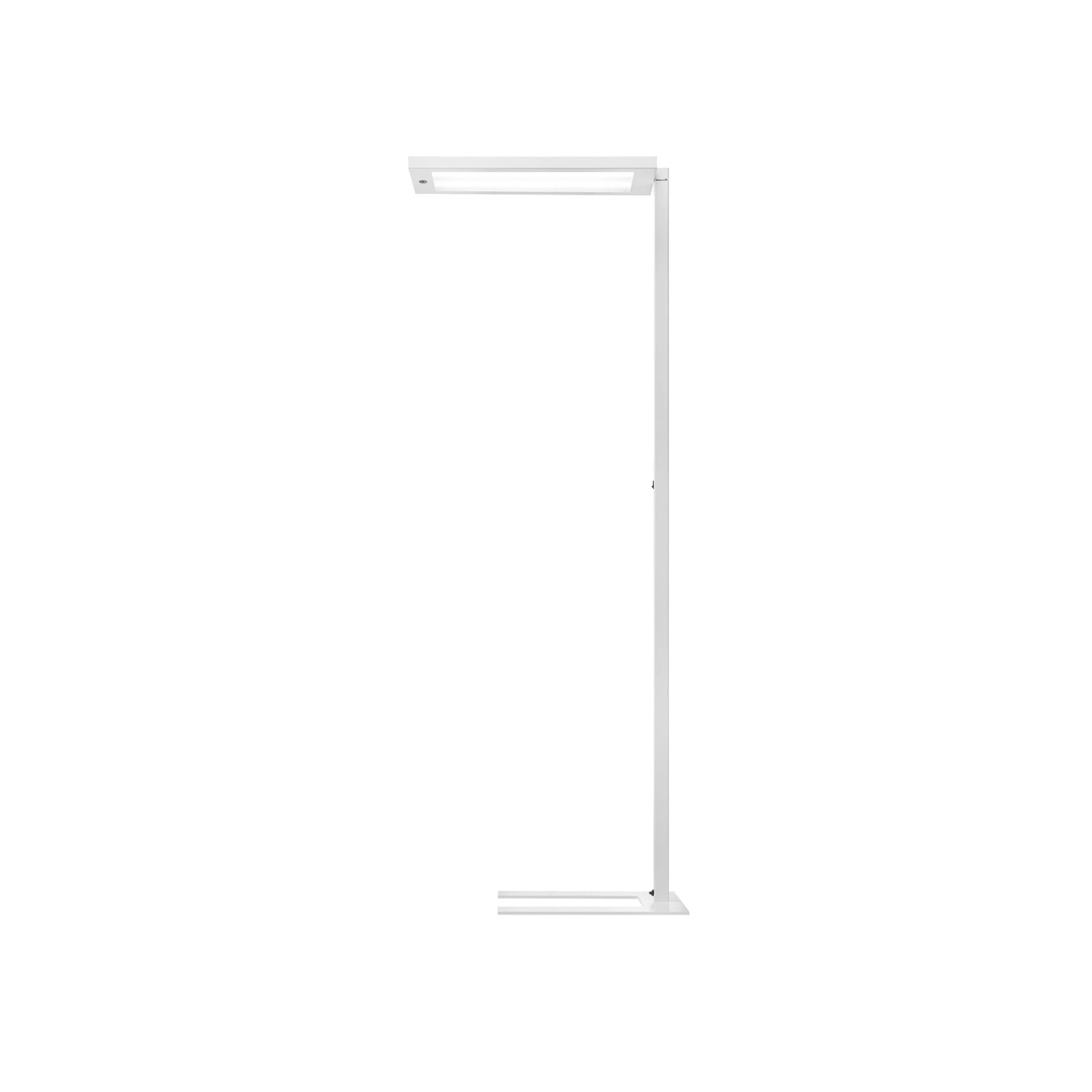 Detalj av LED gulvlampe Lavigo Core DPS med bevegelsessensor 85W hvit