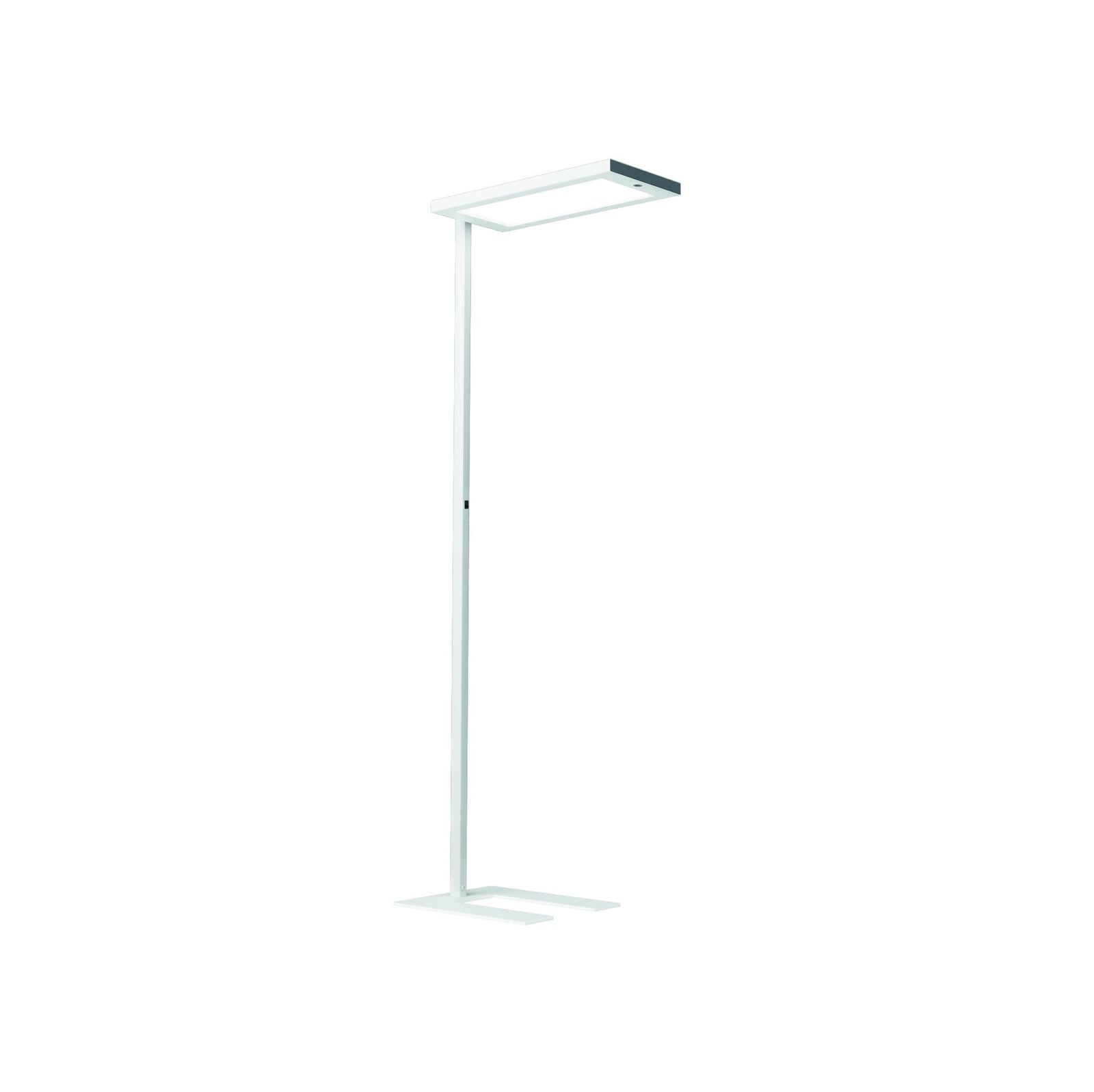 LED gulvlampe Lavigo Core DPS med bevegelsessensor 85W hvit montert i kontormiljø