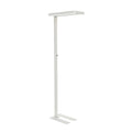 LED gulvlampe MAULjaval dimbar hvit forfra