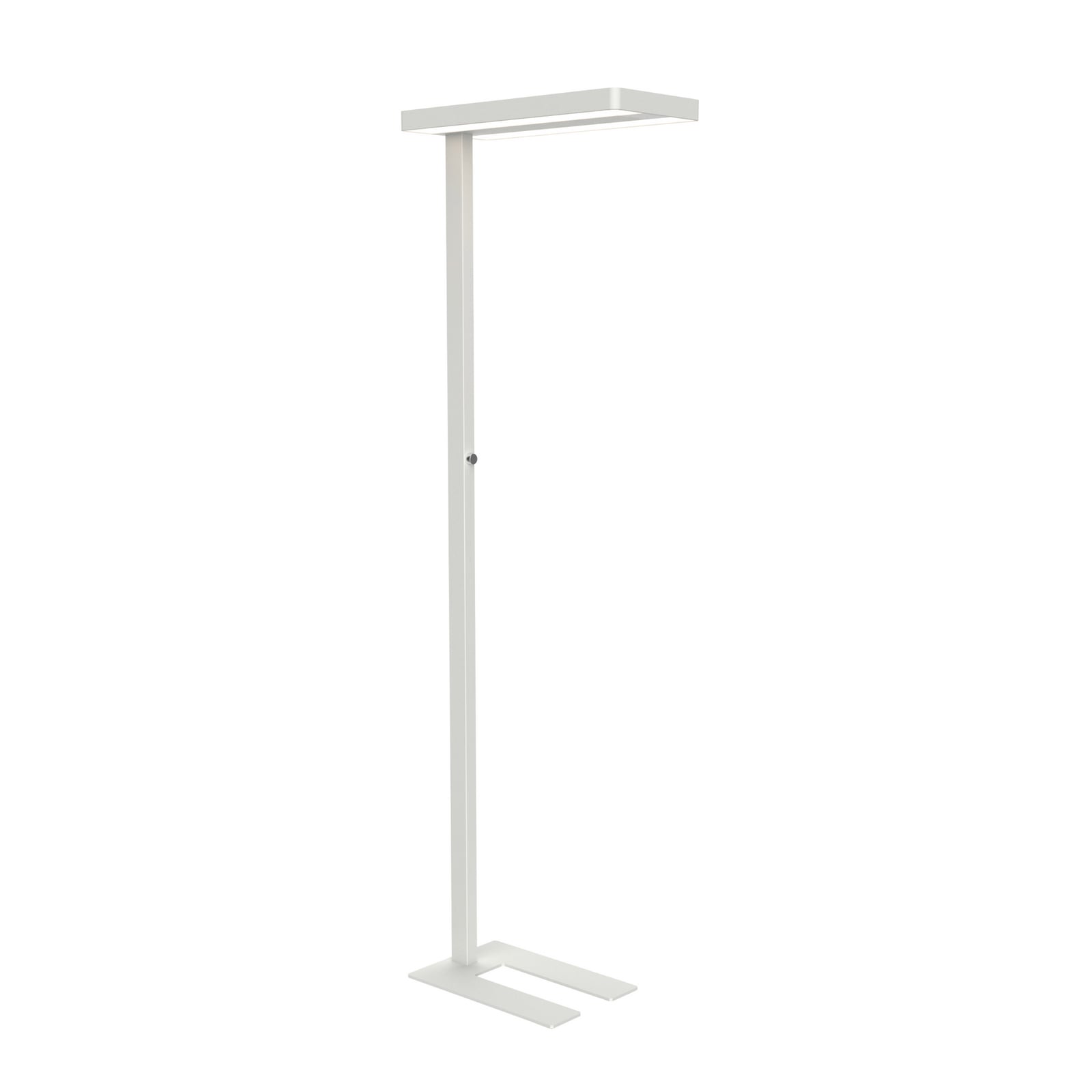 LED gulvlampe MAULjaval dimbar hvit forfra