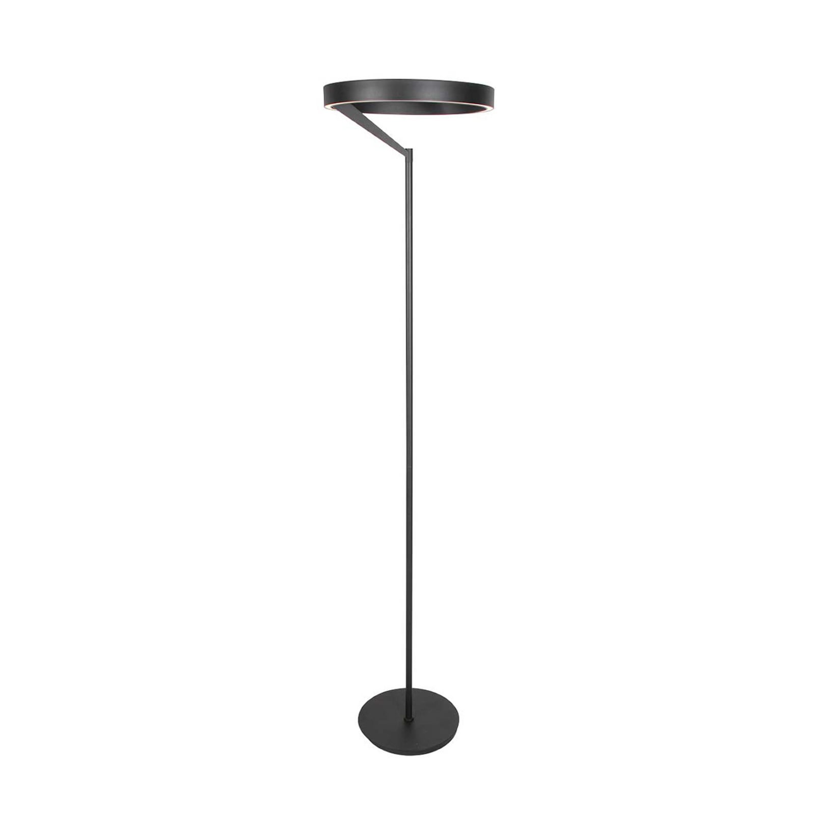LED gulvlampe Mykty 2-lys dimbar CCT svart 170 cm bakside