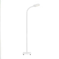 LED gulvlampe Office Step dimbar CCT hvit 158 cm forfra