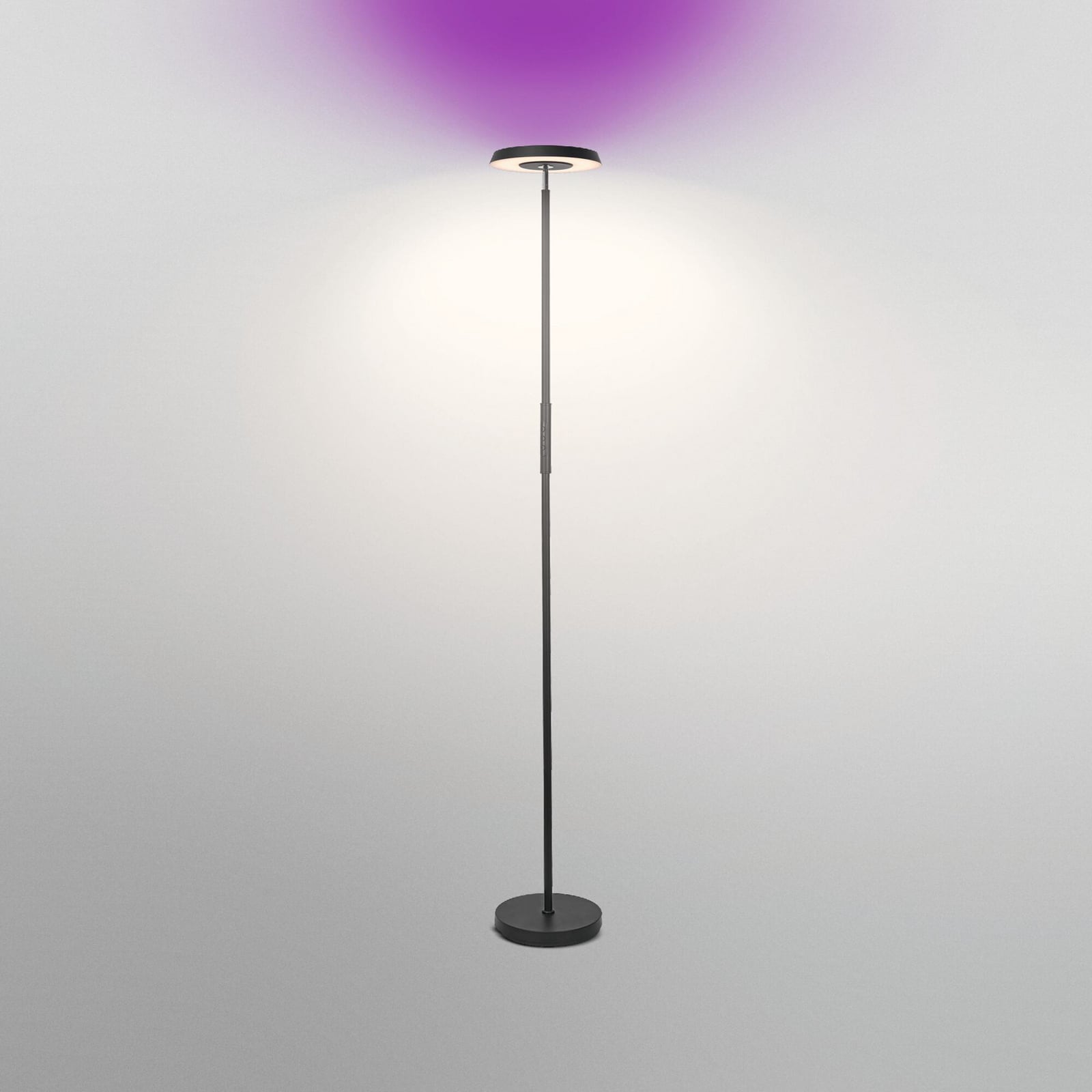 LED gulvlampe opp og ned svart RGB CCT dimbar 24W - OSRAM SMART+ montert i rom