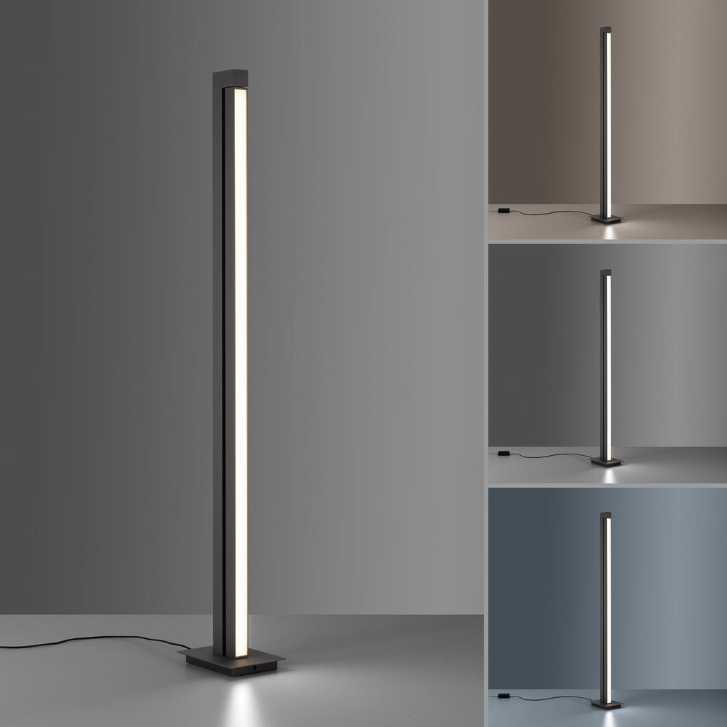 LED gulvlampe PURE Lines Floor grafitt med fjernkontroll