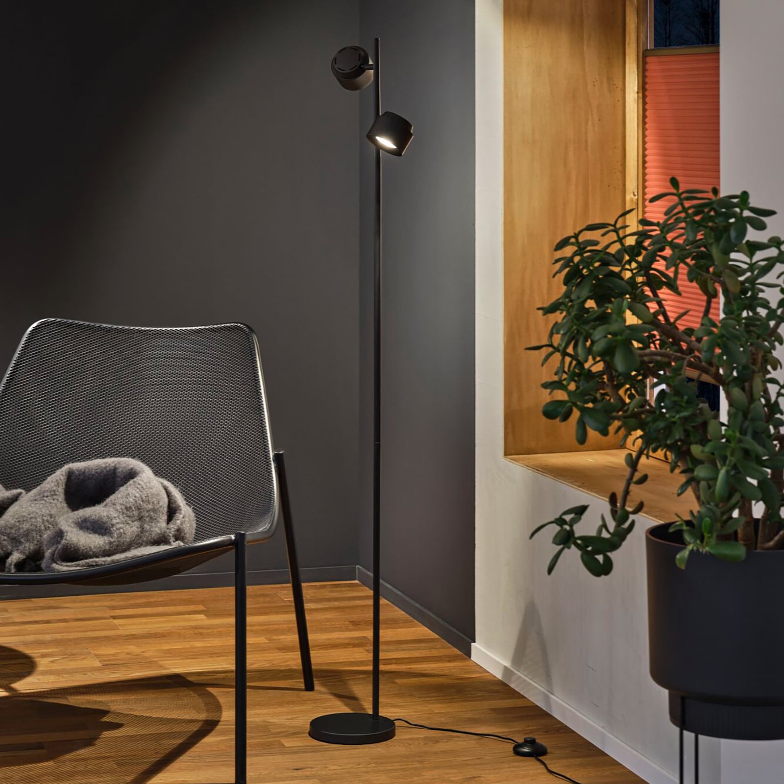 LED gulvlampe Puric Pane I 2-lys dimbar svart 145 cm lys i bruk