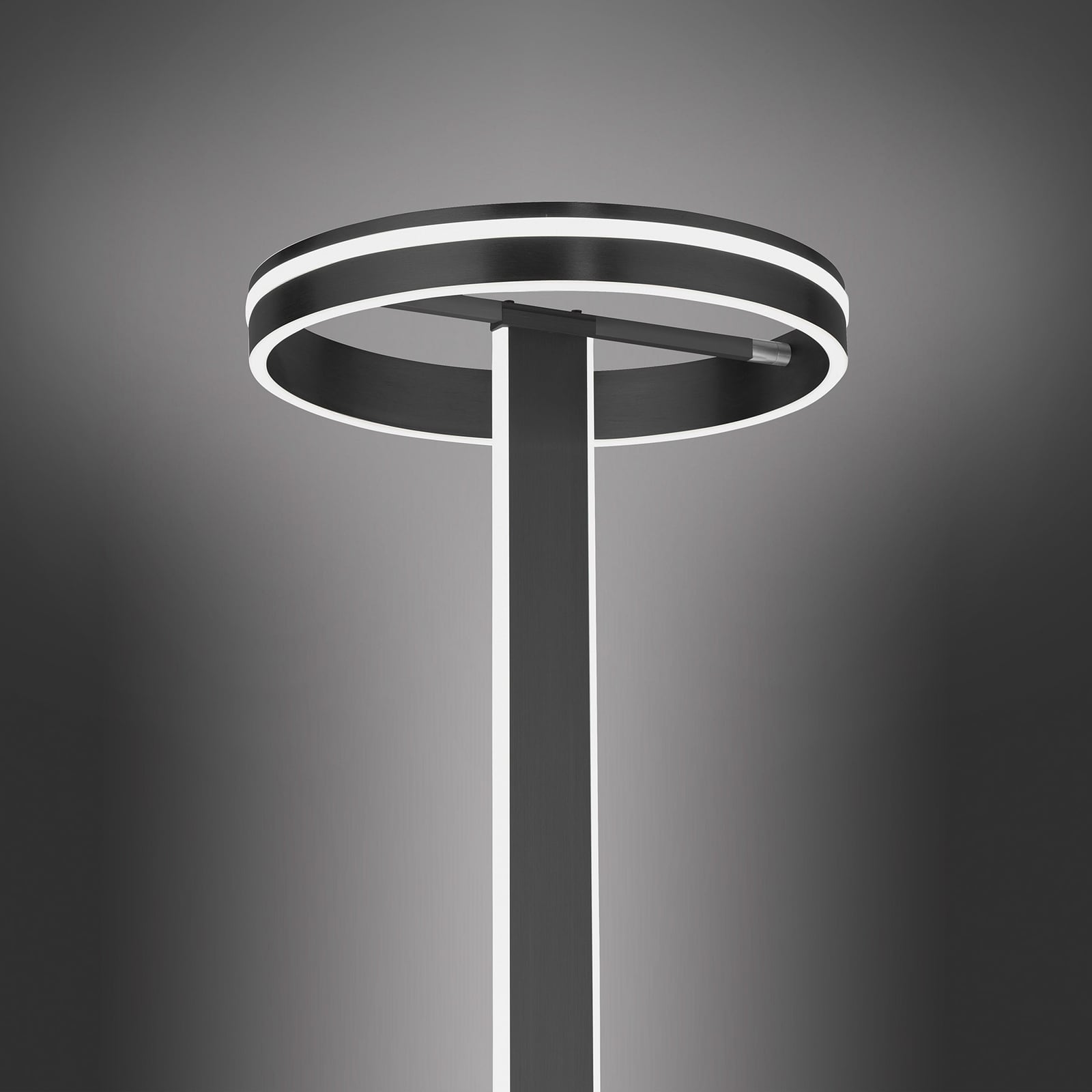 LED gulvlampe Q-VITO CCT dimbar Zigbee antrasitt med fjernkontroll