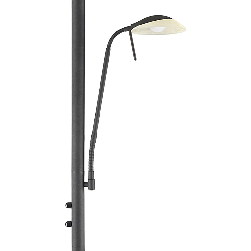 LED gulvlampe Ragna med leselys dimbar mørkebrun nærbilde av leselys