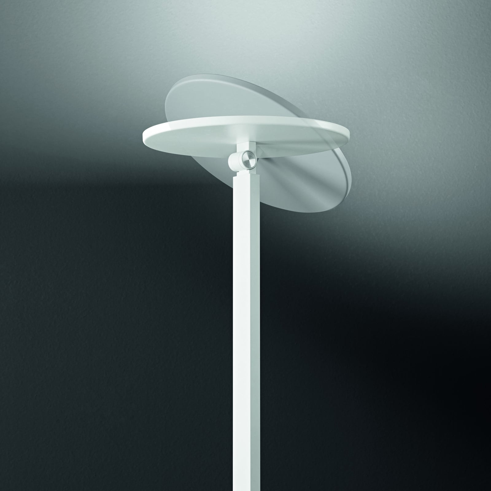 Detalj av touchdimmer på LED gulvlampe Regina dimbar CCT hvit 180 cm 35W