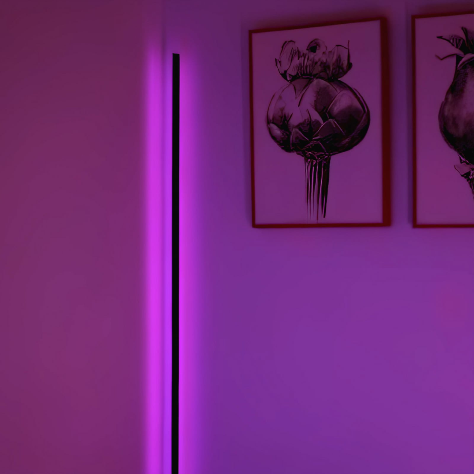 LED gulvlampe ROUND dimbar RGB CCT svart 140 cm WiFi bakside
