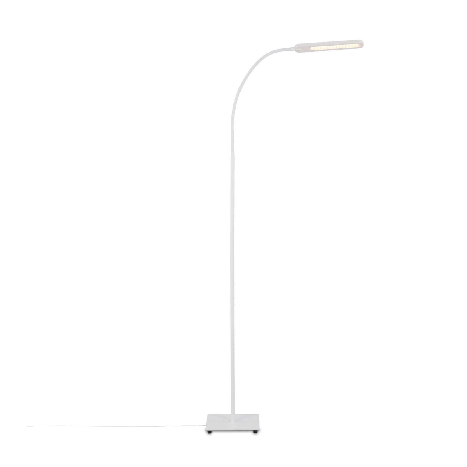 Detalj av LED gulvlampe Servo dimbar CCT hvit 183 cm 8W lampehode