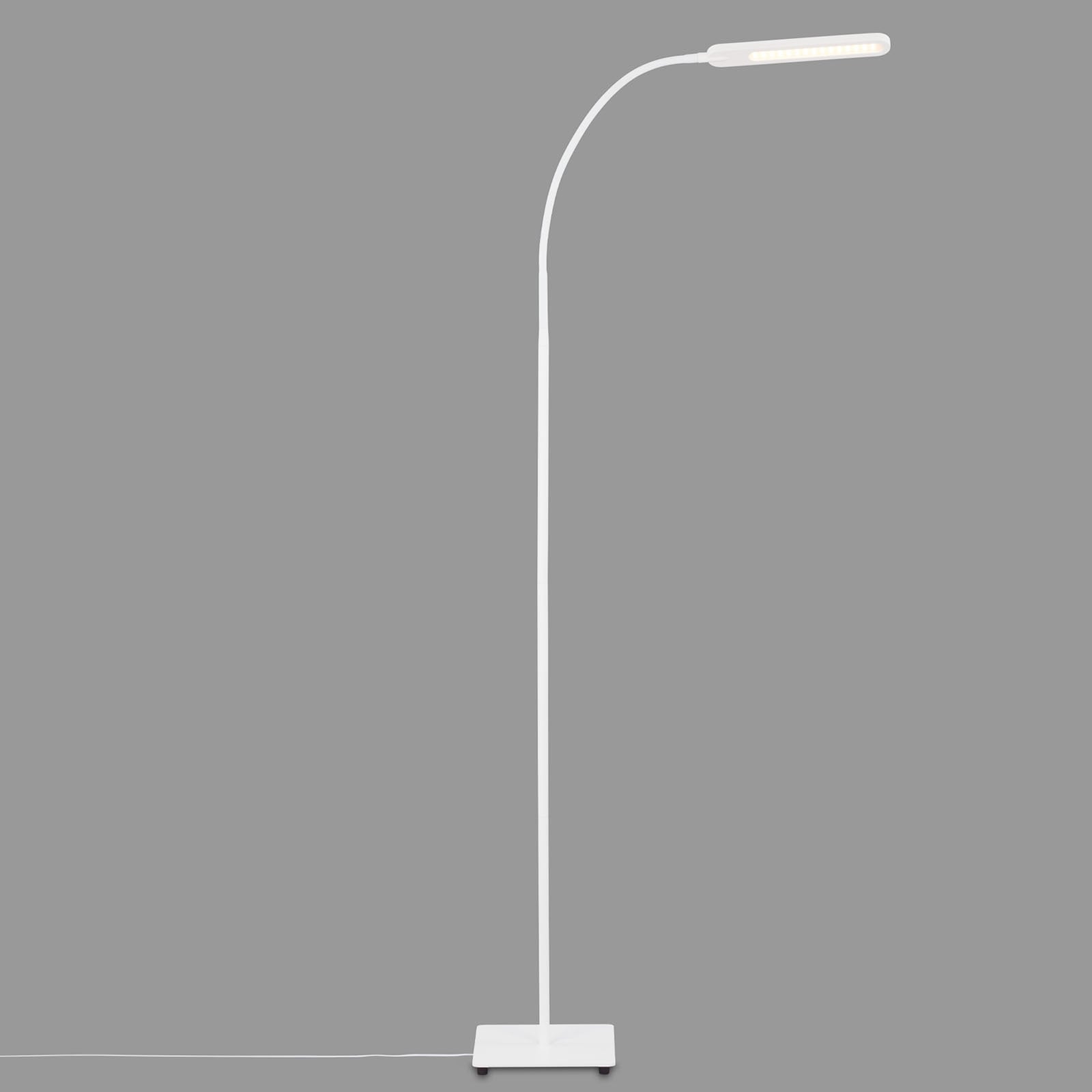 LED gulvlampe Servo dimbar CCT hvit 183 cm 8W montert i rom