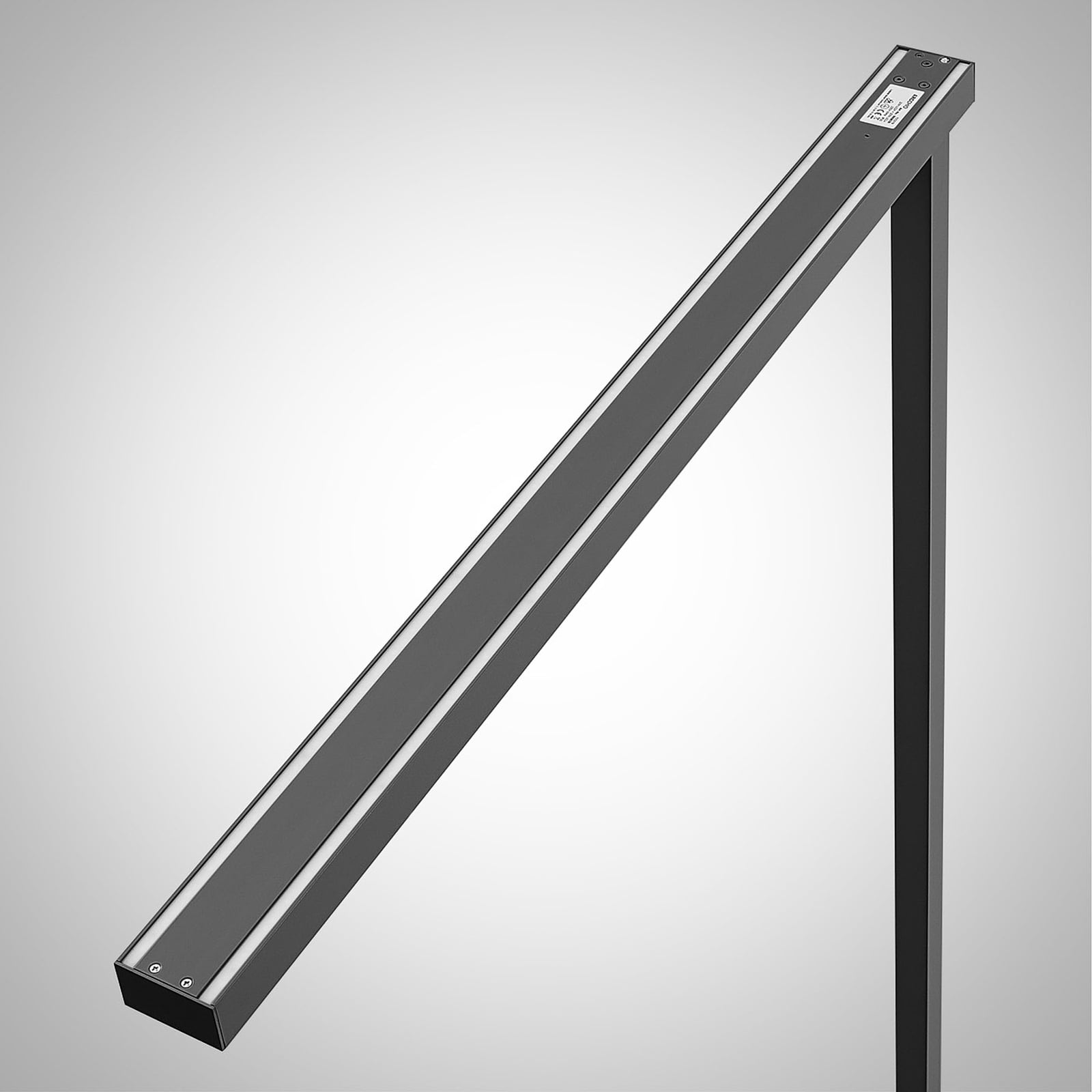 LED gulvlampe Tamilo svart opp-og-ned-lys lysfordeling