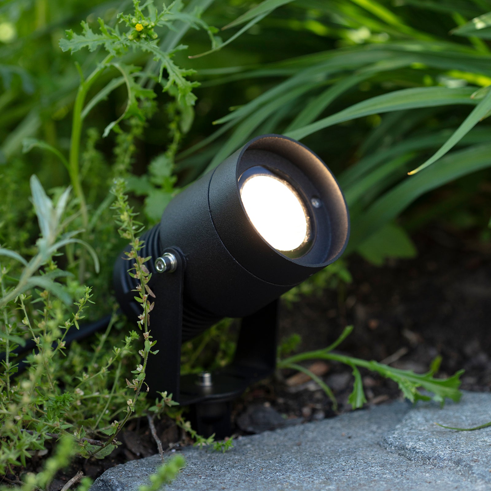 LED hagespot Garden 24 svart 15W dimbar med spyd IP44 montert ute