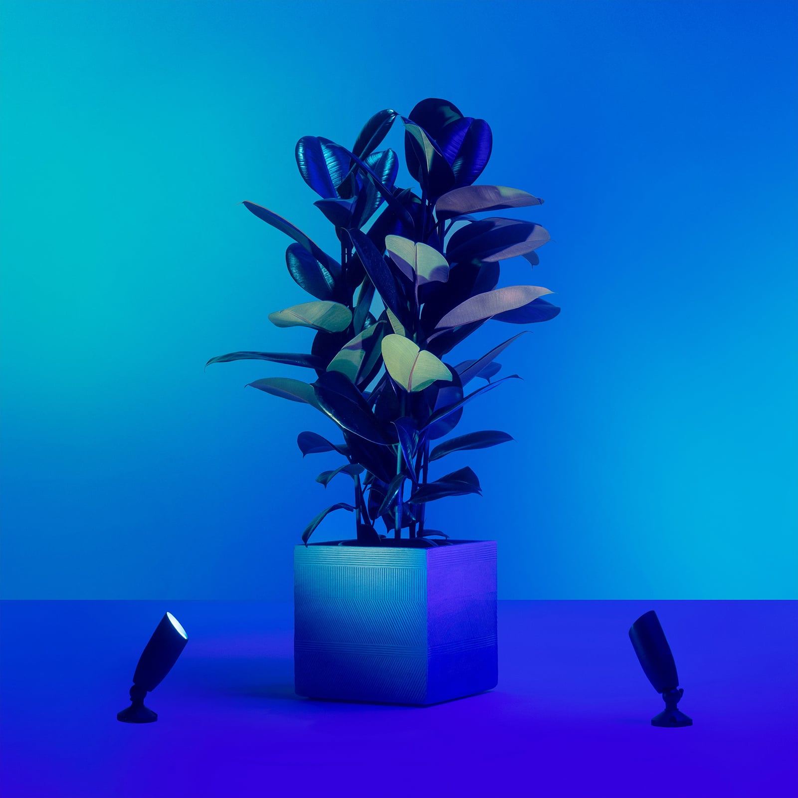 Detalj av LED hagespot med jordspyd 2-pk dimbar RGB IP65 WiFi - WiZ