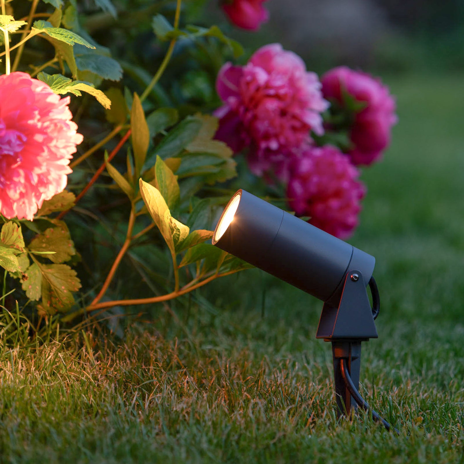 LED hagespot med spyd 5131 svart aluminium bakside