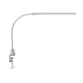 LED klemmelampe MAULpirro dimbar hvit 37 cm 6W forfra