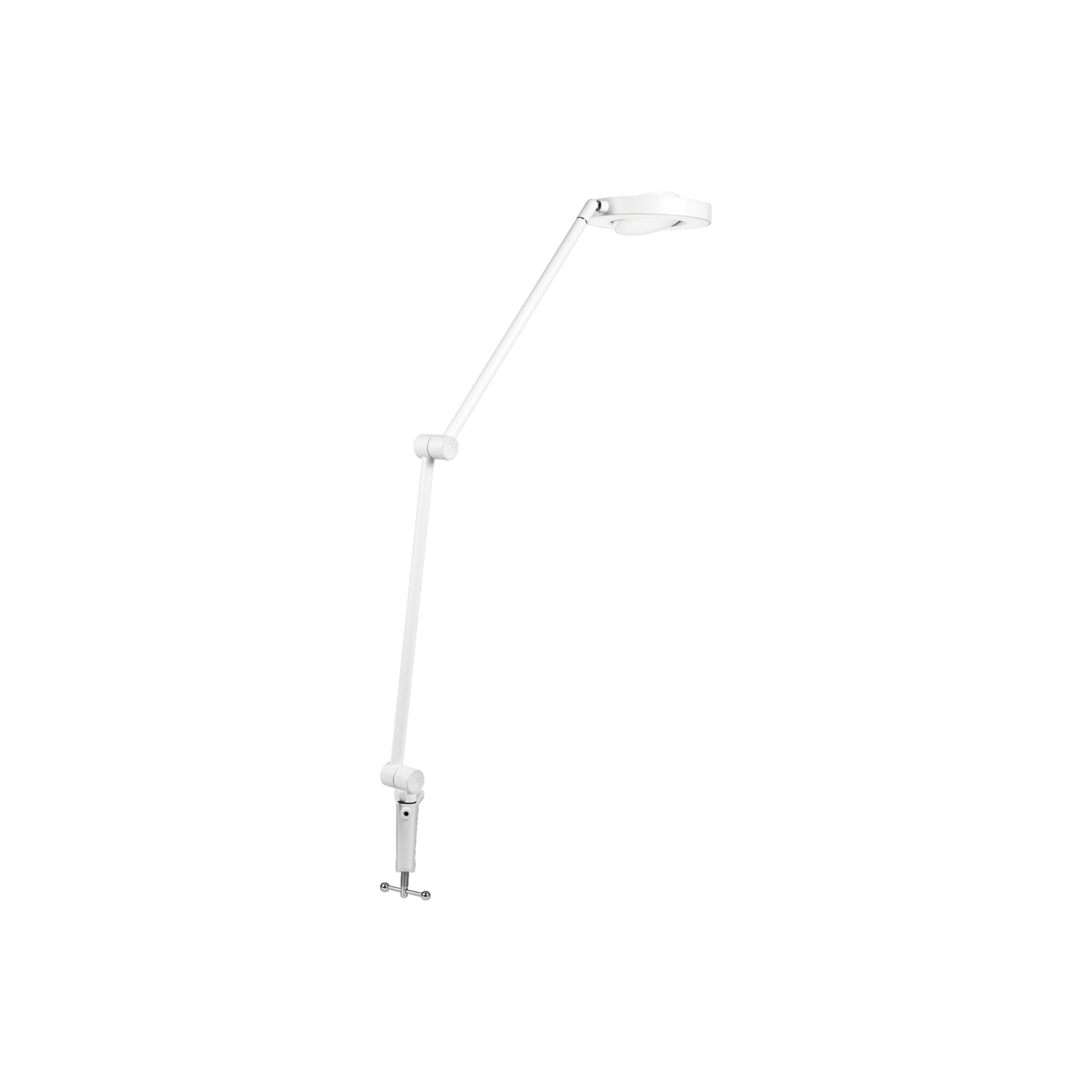 LED klemmelampe SUN@Home Panan Desk Disc dimbar CCT hvit forfra