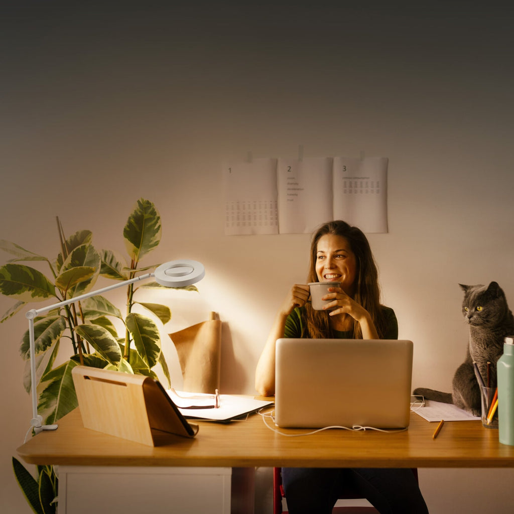 LED klemmelampe SUN@Home Panan Desk Disc dimbar CCT hvit bakside
