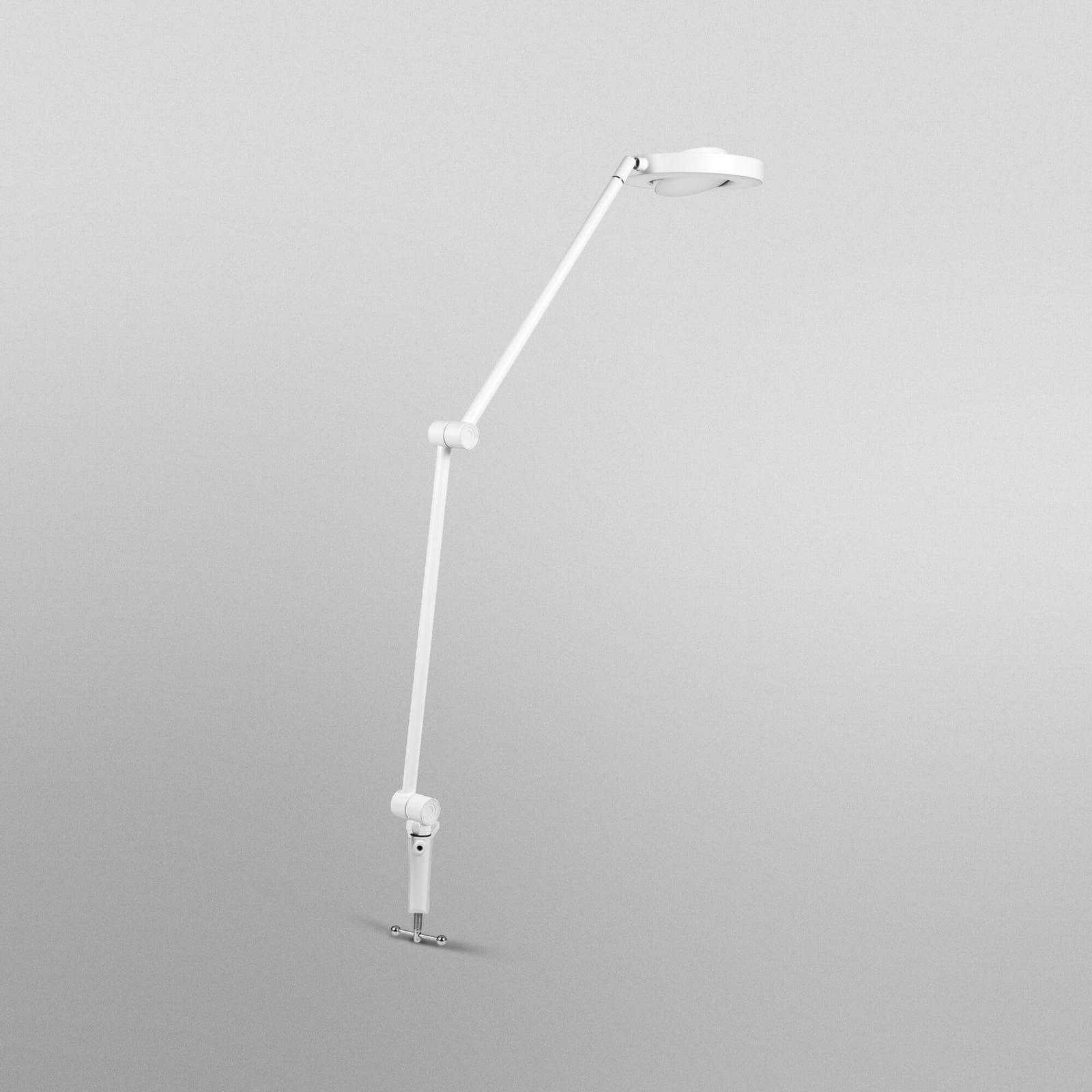 LED klemmelampe SUN@Home Panan Desk Disc dimbar CCT hvit nærbilde av lampehode