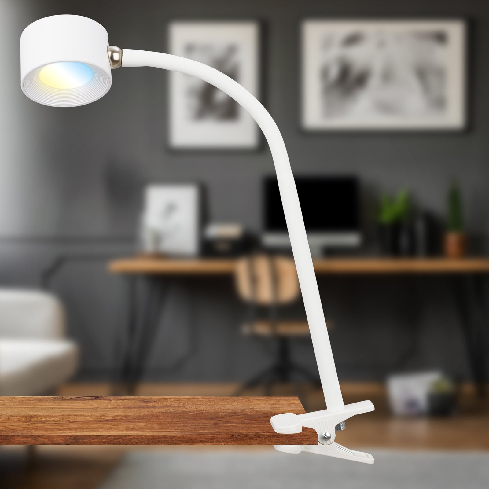 Bakside av LED klemmelampe Tari dimbar CCT hvit IP44 4,5W Briloner
