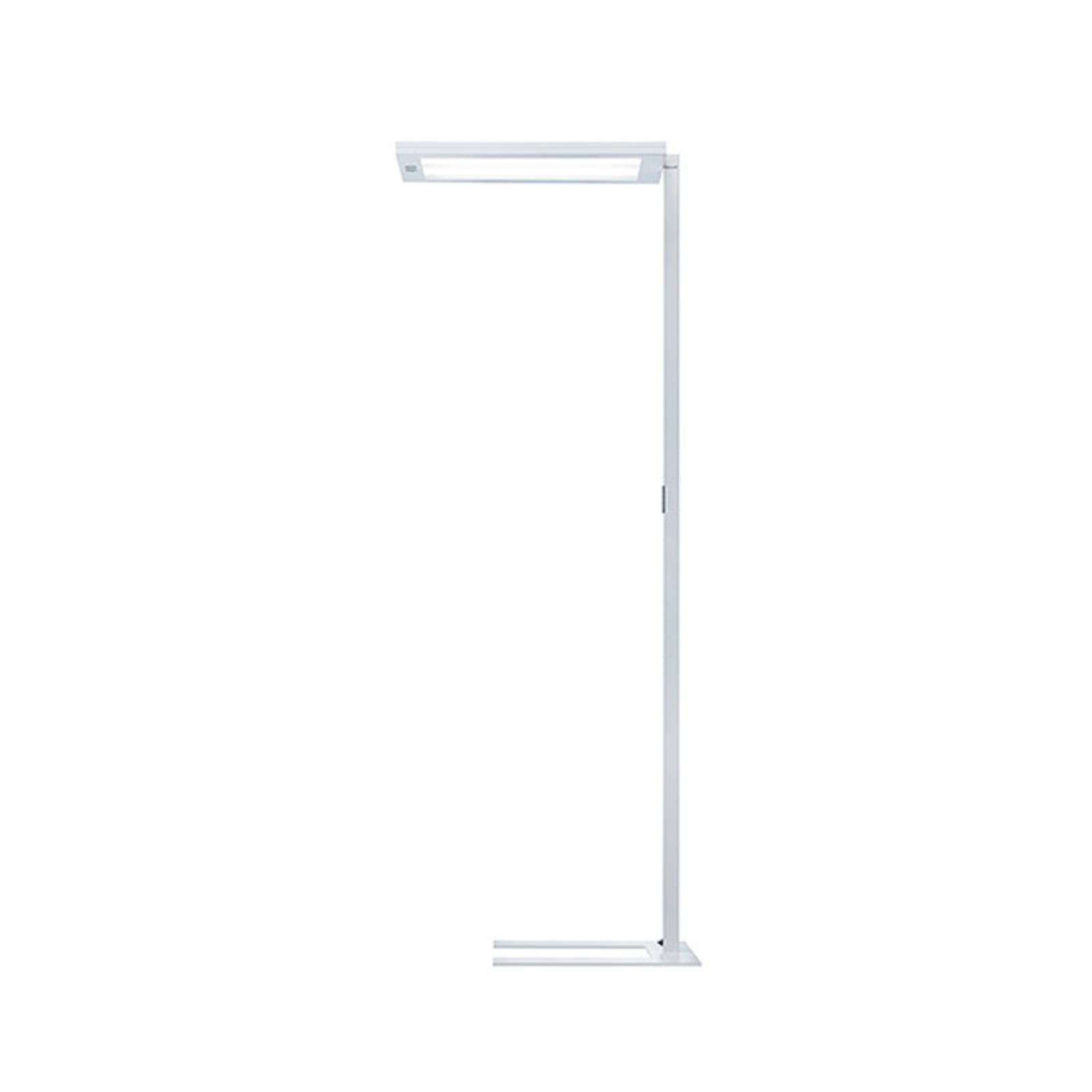 LED kontorgulvlampe Lavigo med bevegelsessensor hvit 113W sett forfra