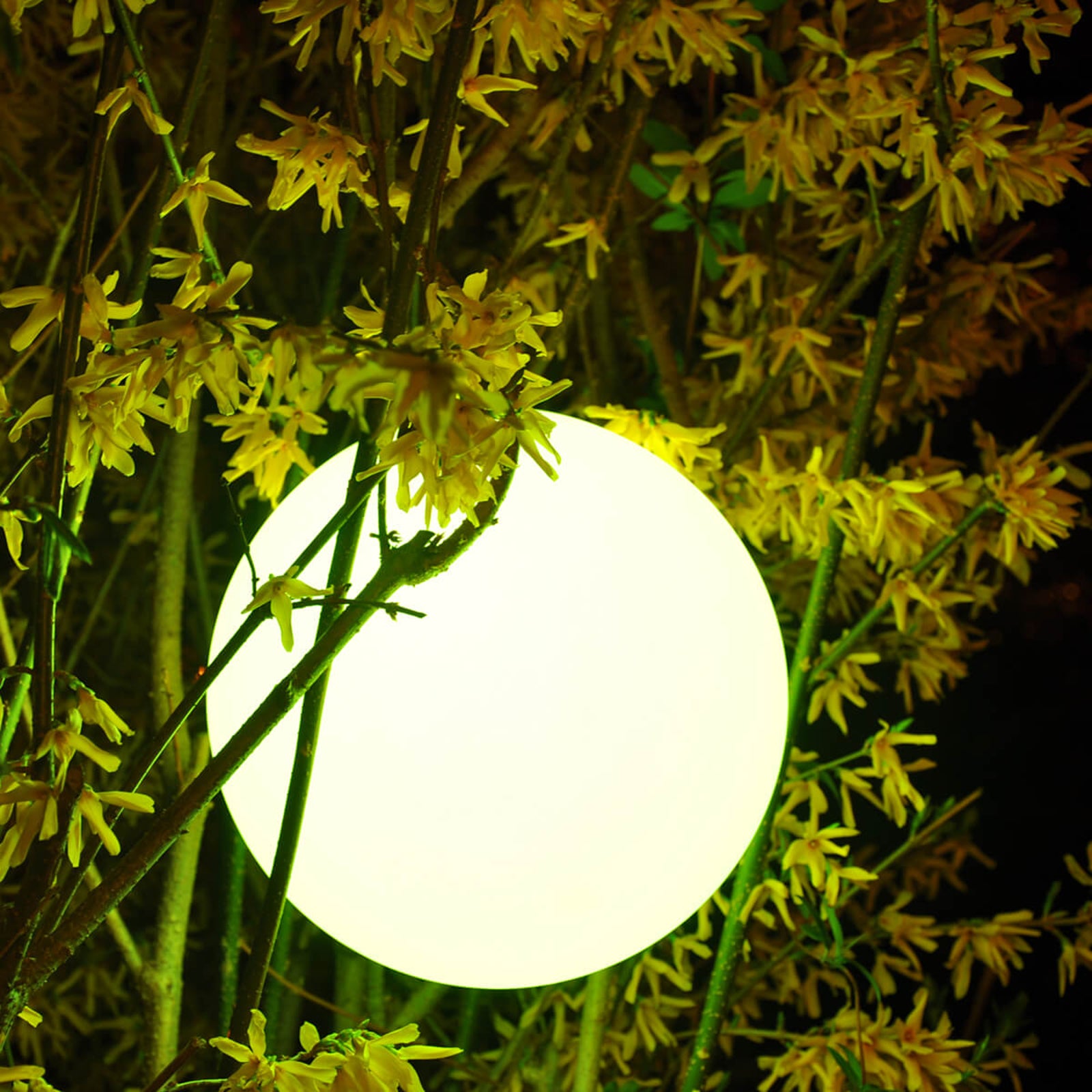 LED kulelampe utendørs RGB dimbar Ø25 cm Smart&Green montert ute