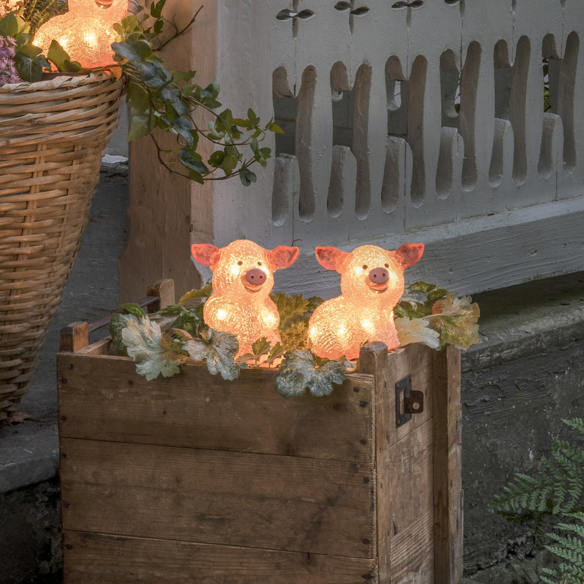 Nærbilde av LED-lysfigur gris 5-pk lyslenke 40 LED varmhvit IP44